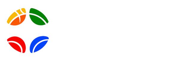 飞速直播网